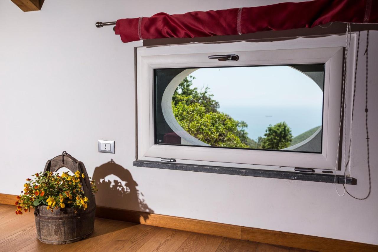 Family Room Terrace