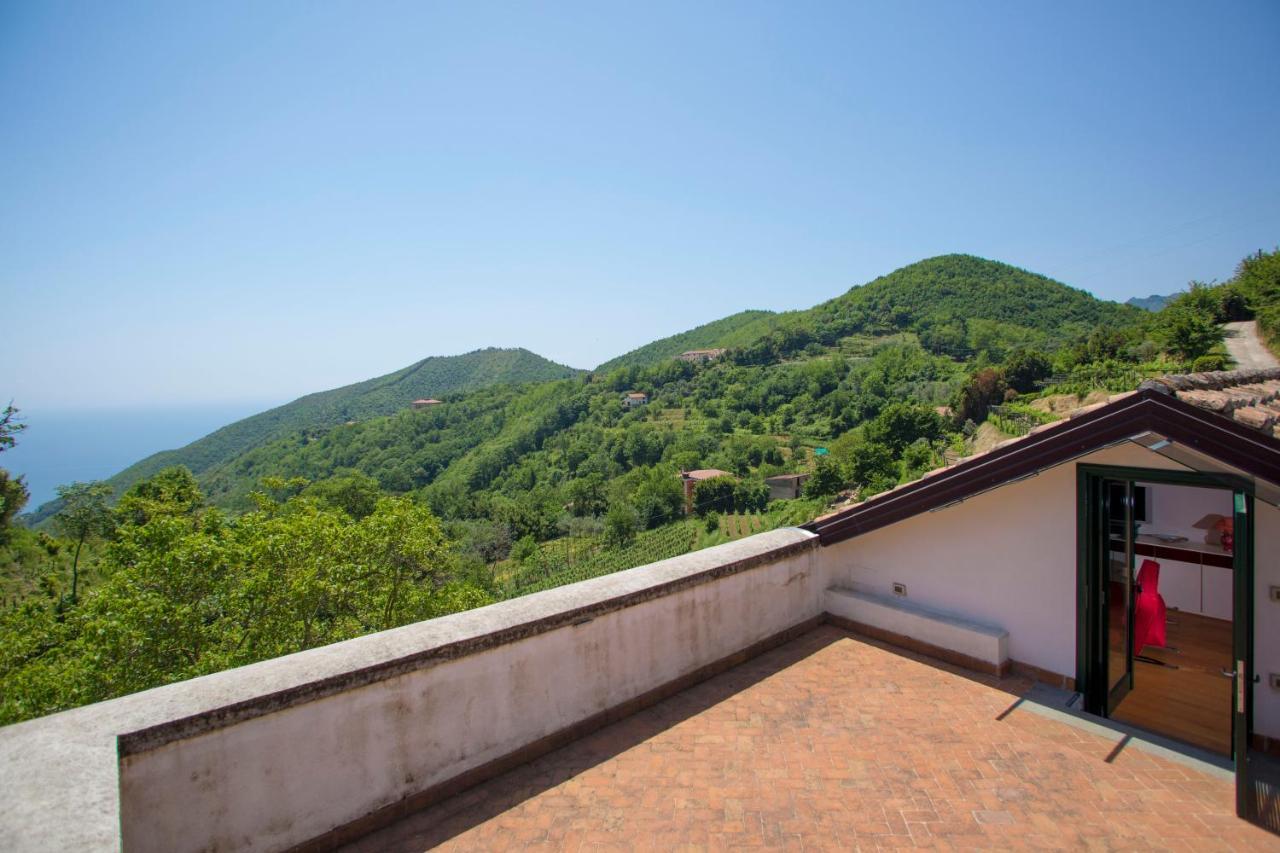 Family Room Terrace