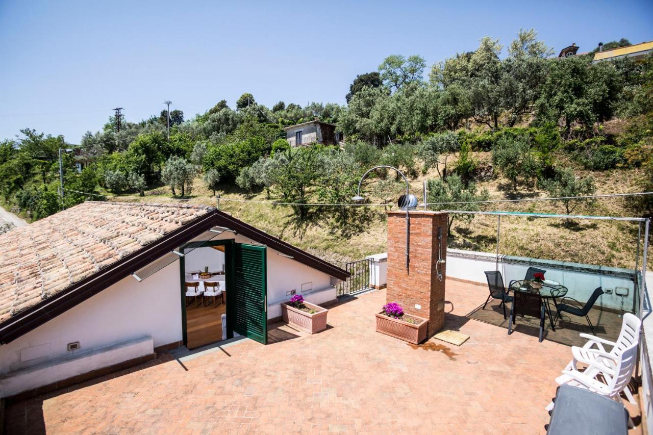 Family Room Terrace